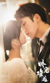 娇宠难逃全集(大结局)