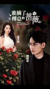 谁摘了傅总的蔷薇全集(大结局)
