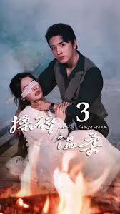 揉碎温柔全集(大结局)