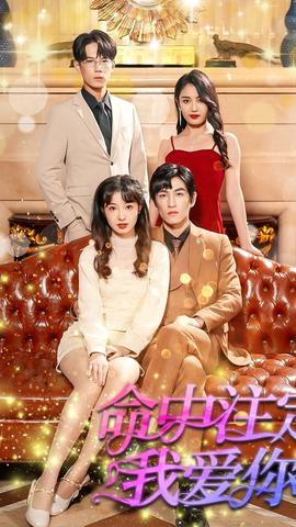 我爱你命中注定全集(大结局)