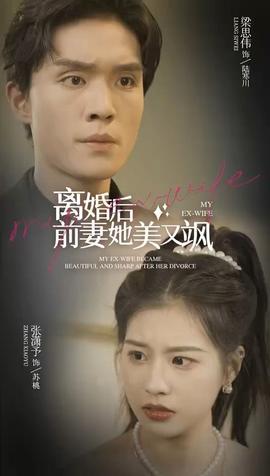 离婚后前妻她美又飒全集(大结局)