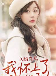 闪婚当天，我怀上了豪门继承人全集(大结局)