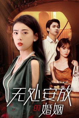 无处安放的婚姻全集(大结局)