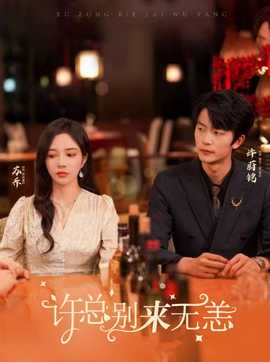 许总别来无恙全集(大结局)