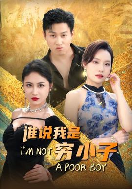 谁说我是穷小子全集(大结局)