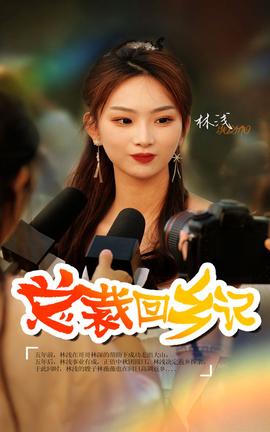 总裁回乡记第63集