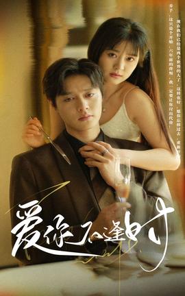 爱你不逢时第69集