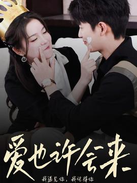 爱也许会来全集(大结局)