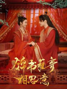 锦书难寄相思意全集(大结局)