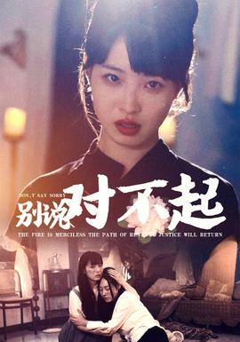 别说对不起第25集