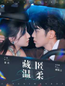 藏匿温柔第48集