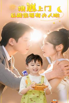 携崽上门总裁您要有夫人啦全集(大结局)