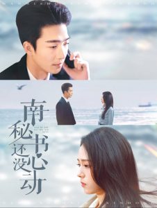 南秘书还没心动全集(大结局)