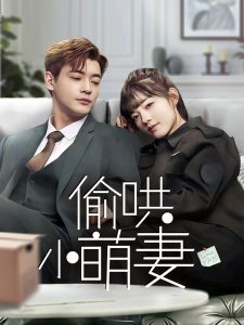 偷哄小萌妻全集(大结局)