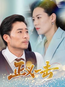 正义一击全集(大结局)