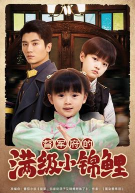 督军家的奶团子锦鲤附体了全集(大结局)