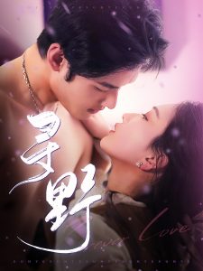 寻野全集(大结局)