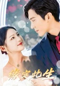 缘定此生全集(大结局)