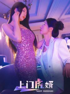 上门虎婿全集(大结局)