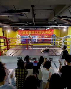 武驰人生2之飓风营救全集(大结局)